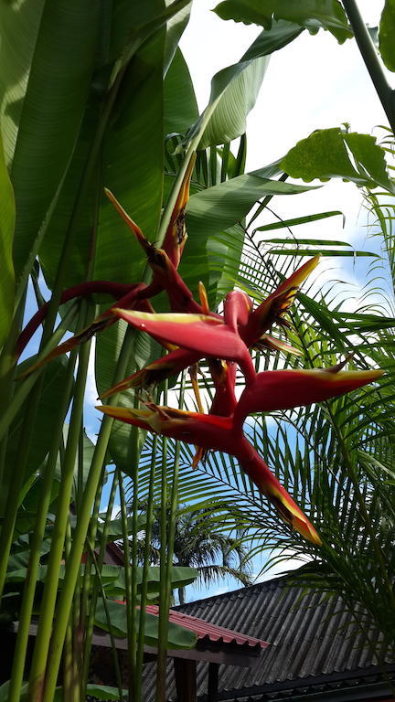 Les Fleurs House Bed & Breakfast Khao Lak Bilik gambar
