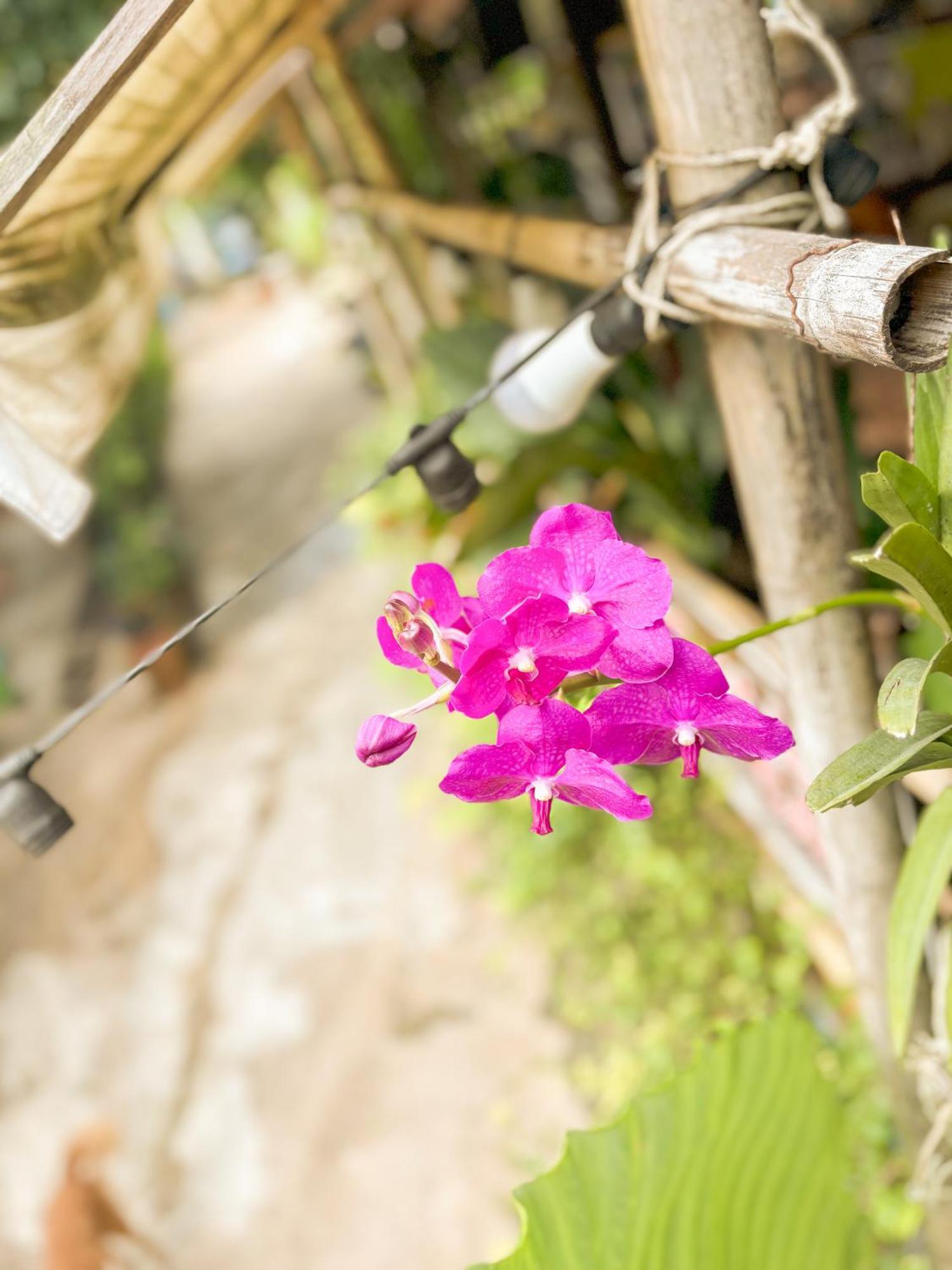 Les Fleurs House Bed & Breakfast Khao Lak Luaran gambar