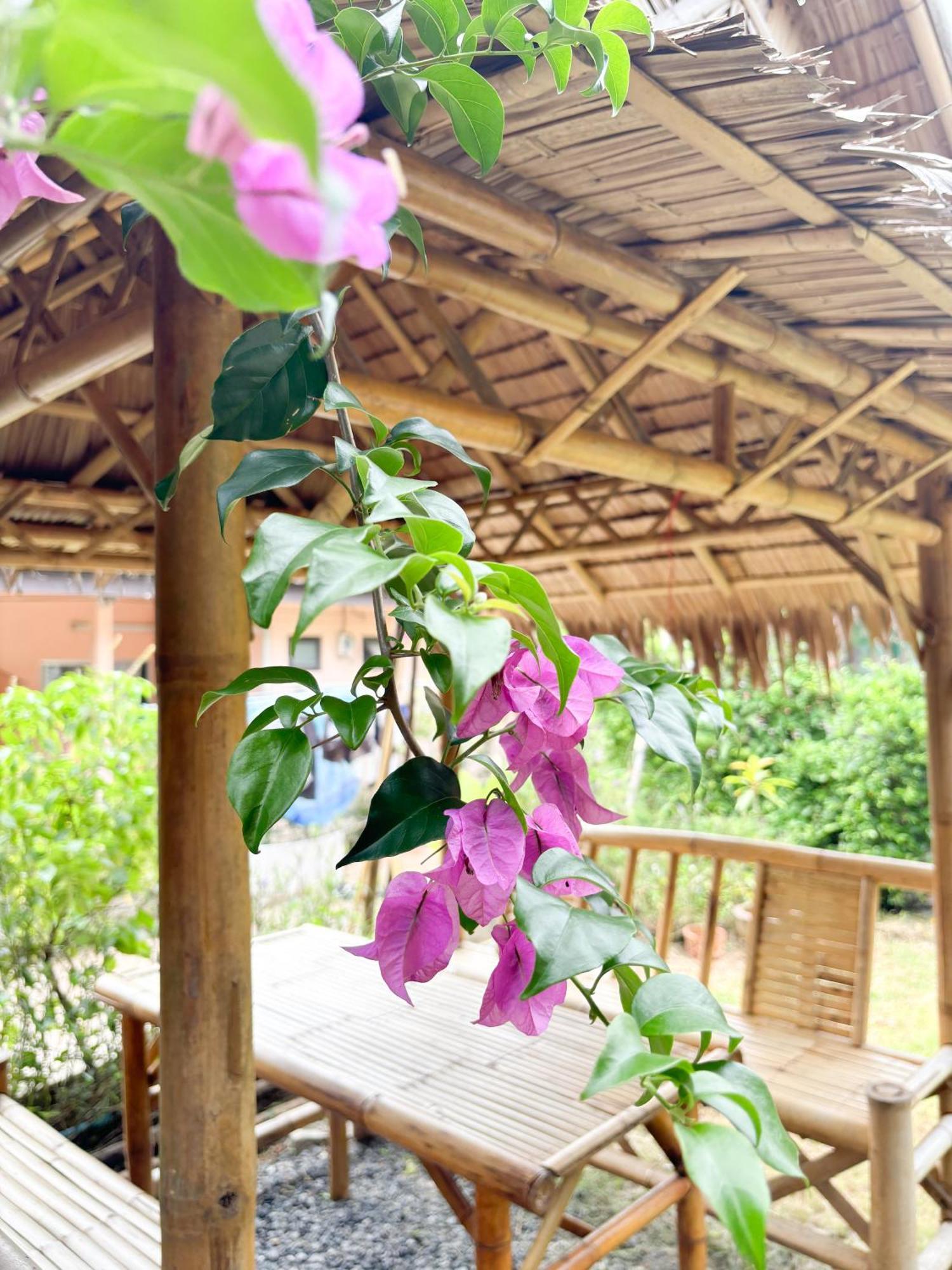 Les Fleurs House Bed & Breakfast Khao Lak Luaran gambar